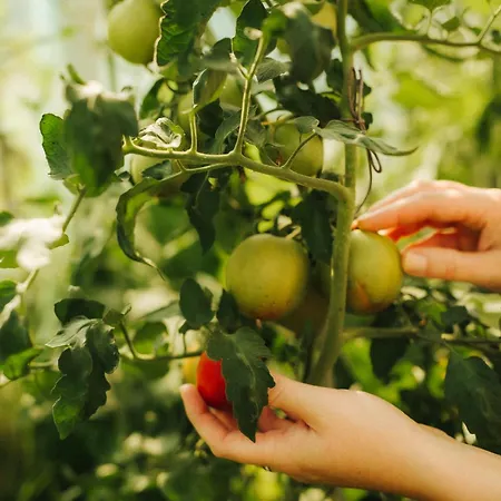 Agroturismo Winnica Agat Świerzawa