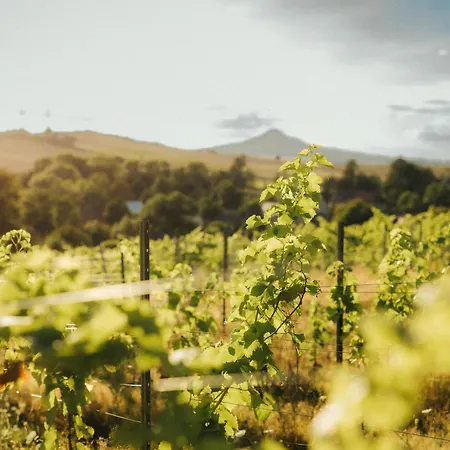 Winnica Agat * Świerzawa