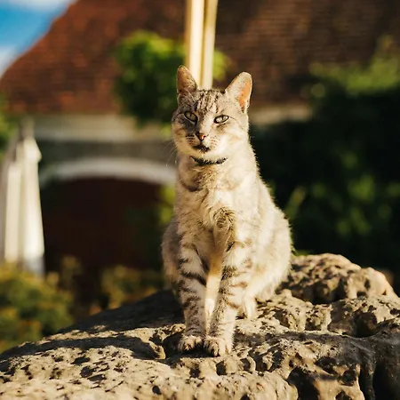 Winnica Agat 农家乐