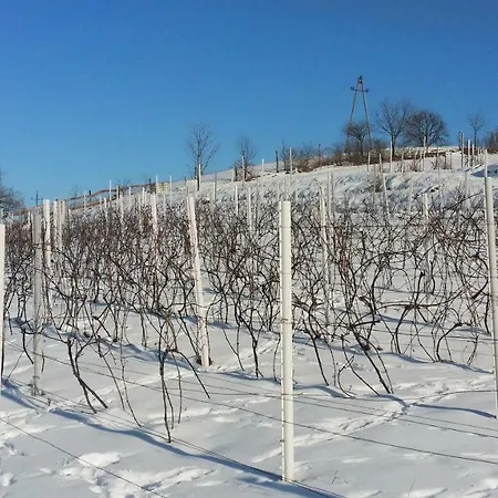 Feriegård Winnica Agat *