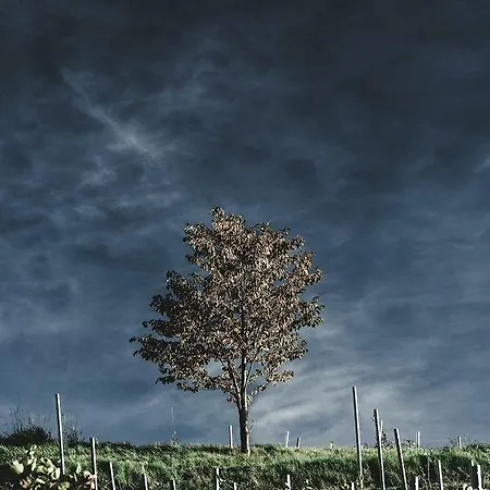 Feriegård Winnica Agat