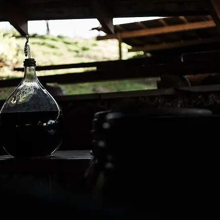 Winnica Agat * Świerzawa