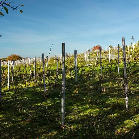 Feriegård Winnica Agat Świerzawa