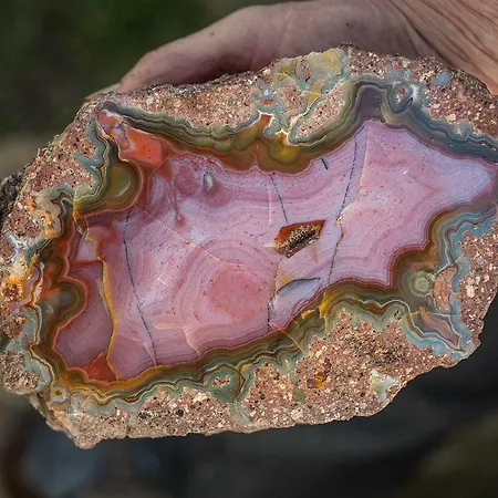 Winnica Agat * Świerzawa