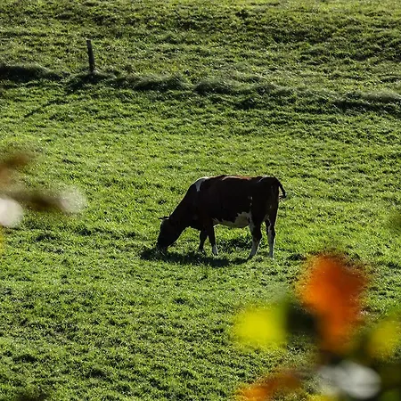 Feriegård Winnica Agat *