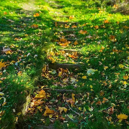 Feriegård Winnica Agat *