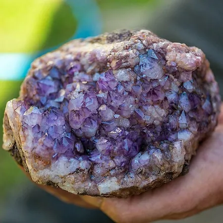 Winnica Agat * Świerzawa