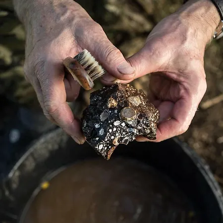 Feriegård Winnica Agat *