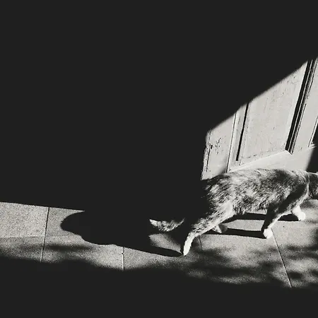 Winnica Agat Świerzawa