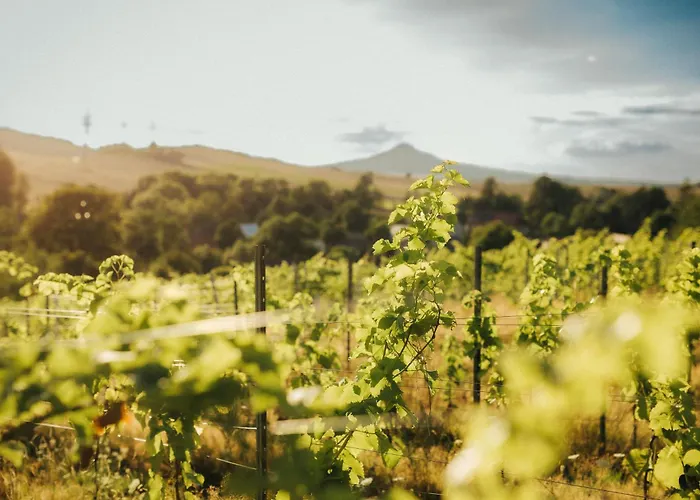 Winnica Agat * Świerzawa