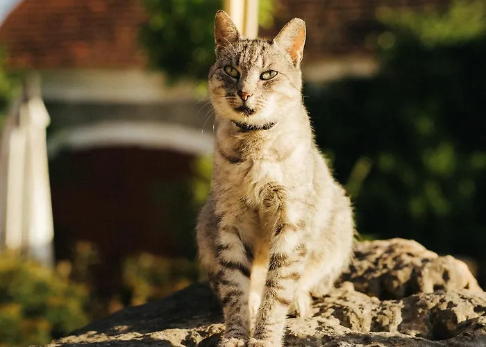 Winnica Agat Farm stay