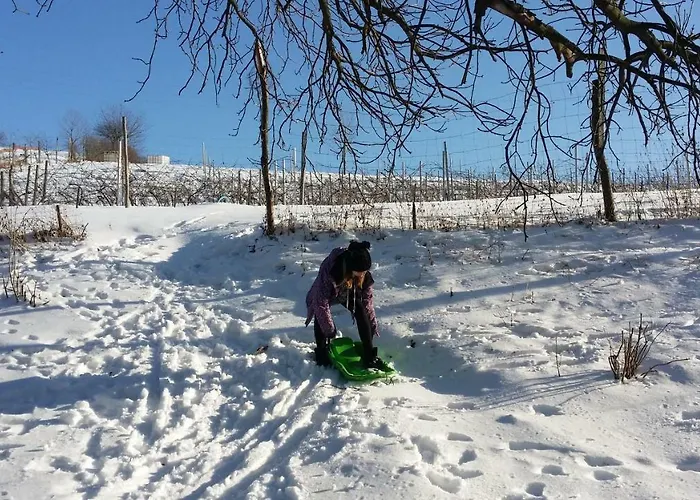 Winnica Agat Farm stay