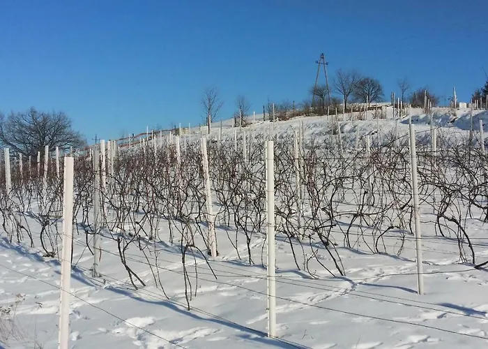 Çiftlik konaklama Winnica Agat *