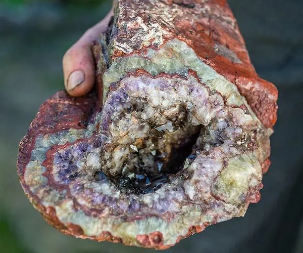 Winnica Agat Farm stay