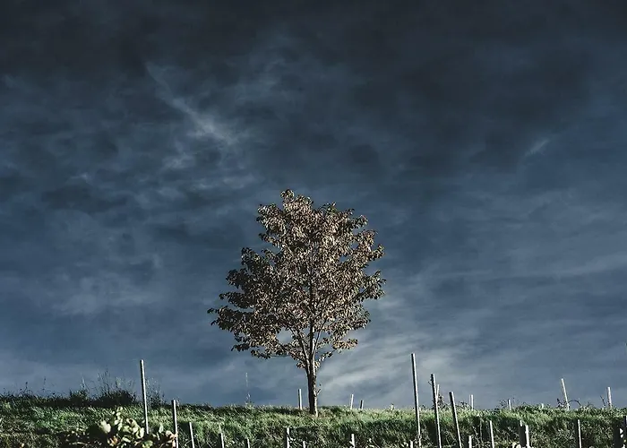 Farm stay Winnica Agat