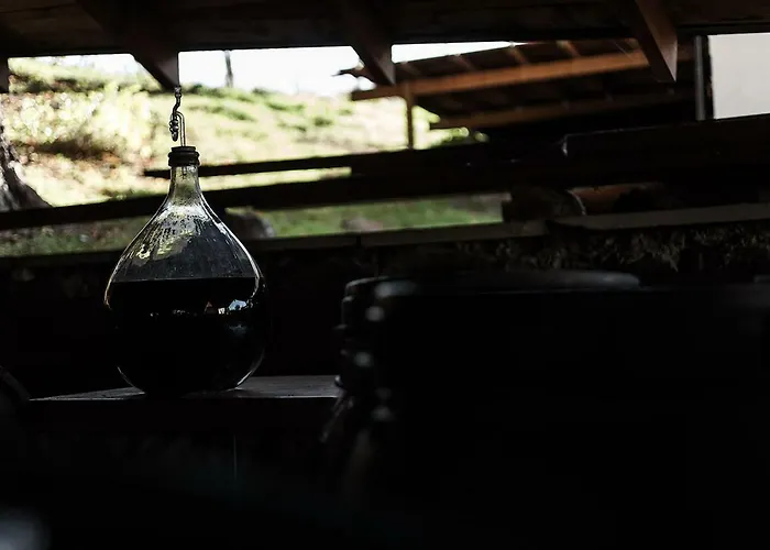 Winnica Agat * Świerzawa