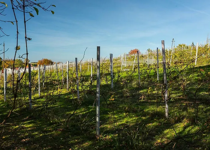 Farm stay Winnica Agat Swierzawa