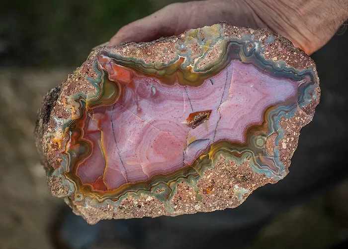 Winnica Agat * Świerzawa