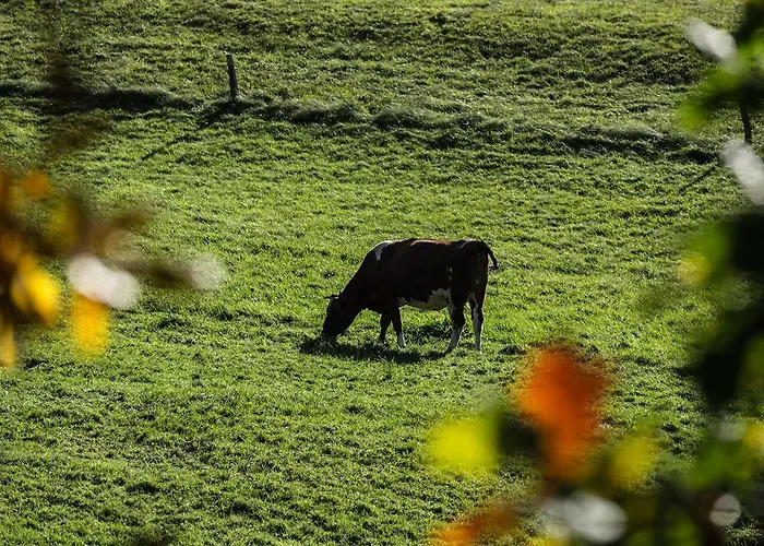 Çiftlik konaklama Winnica Agat *