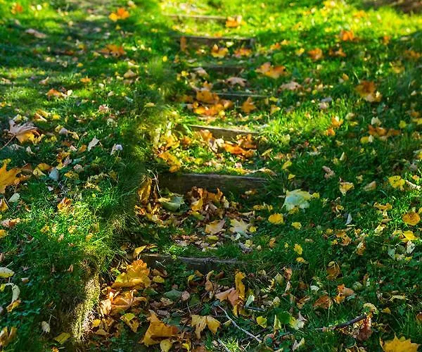 Çiftlik konaklama Winnica Agat *