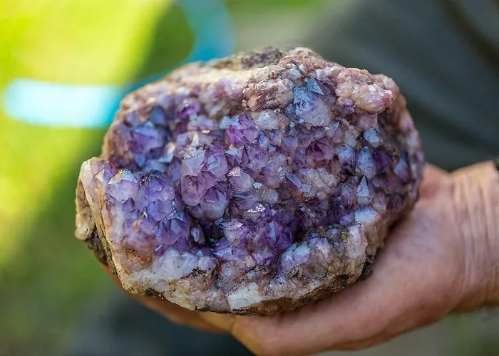 Winnica Agat * Swierzawa