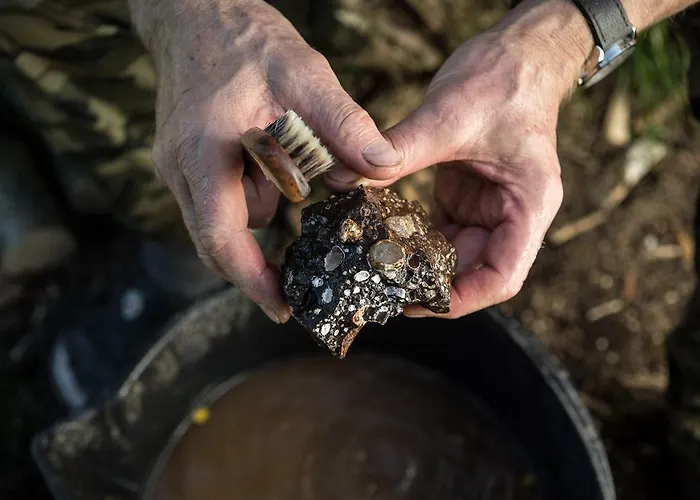 Çiftlik konaklama Winnica Agat *