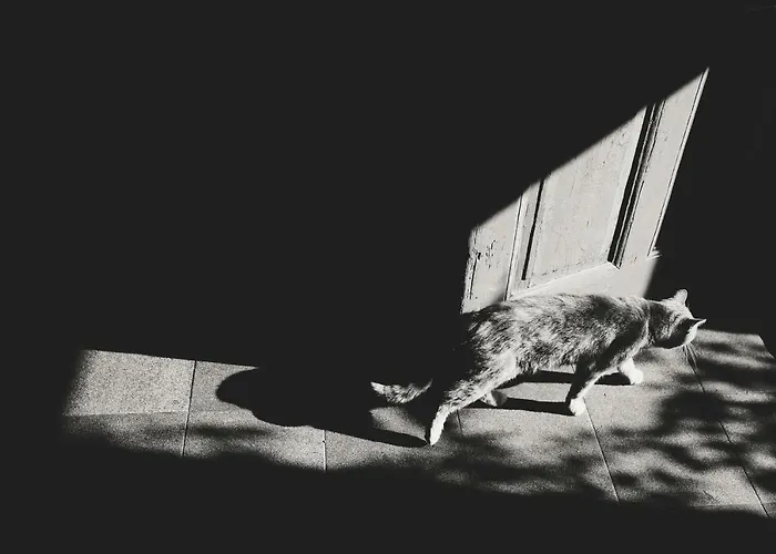 Winnica Agat Świerzawa